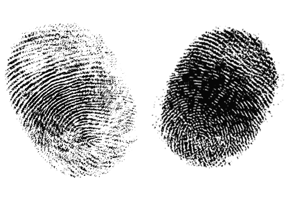 2 fingerprints