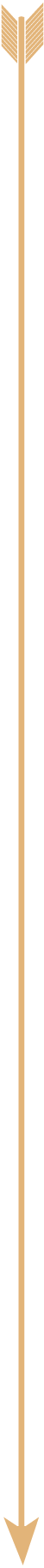 this is an arrow