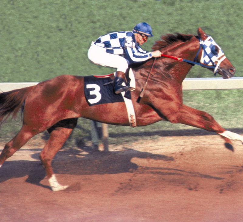 running the preakness