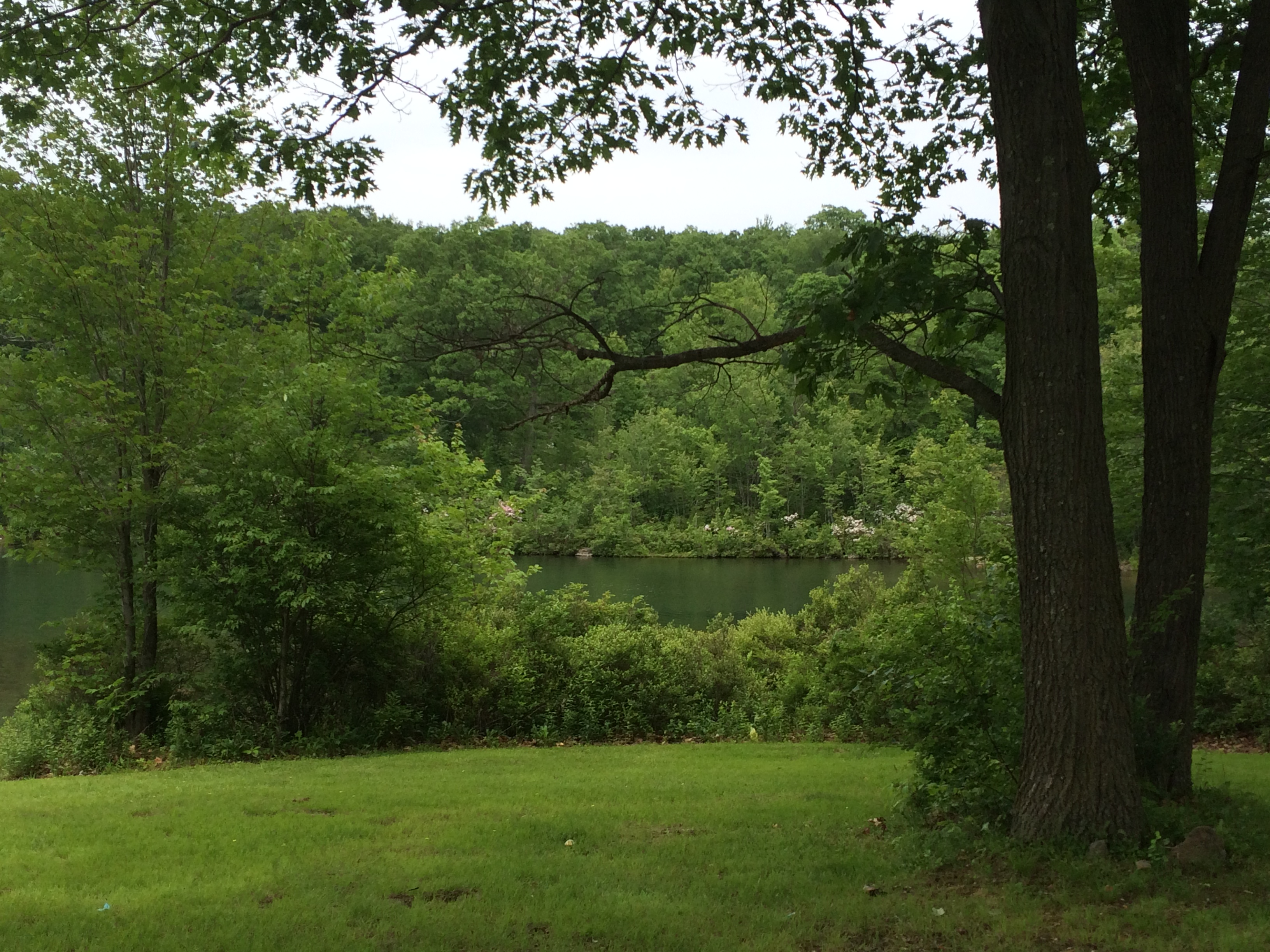 nature