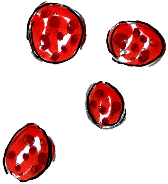 pepperoni