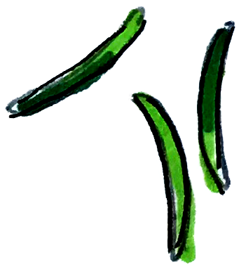 pepper