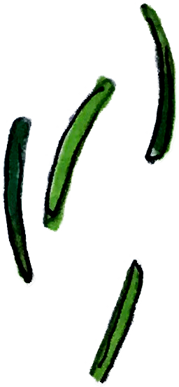 pepper