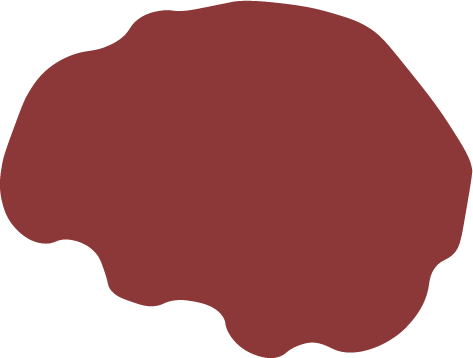 brain colors