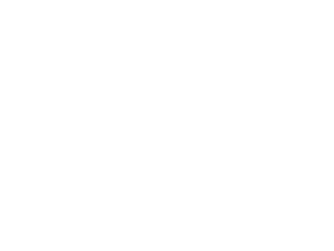 brain outline