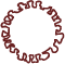 outline of a covid molecule