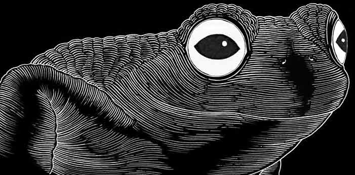 frog