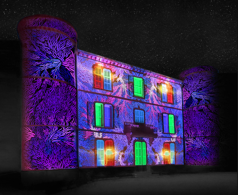 projection mapping on full house