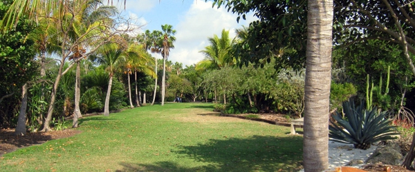 Elysium Landscapes